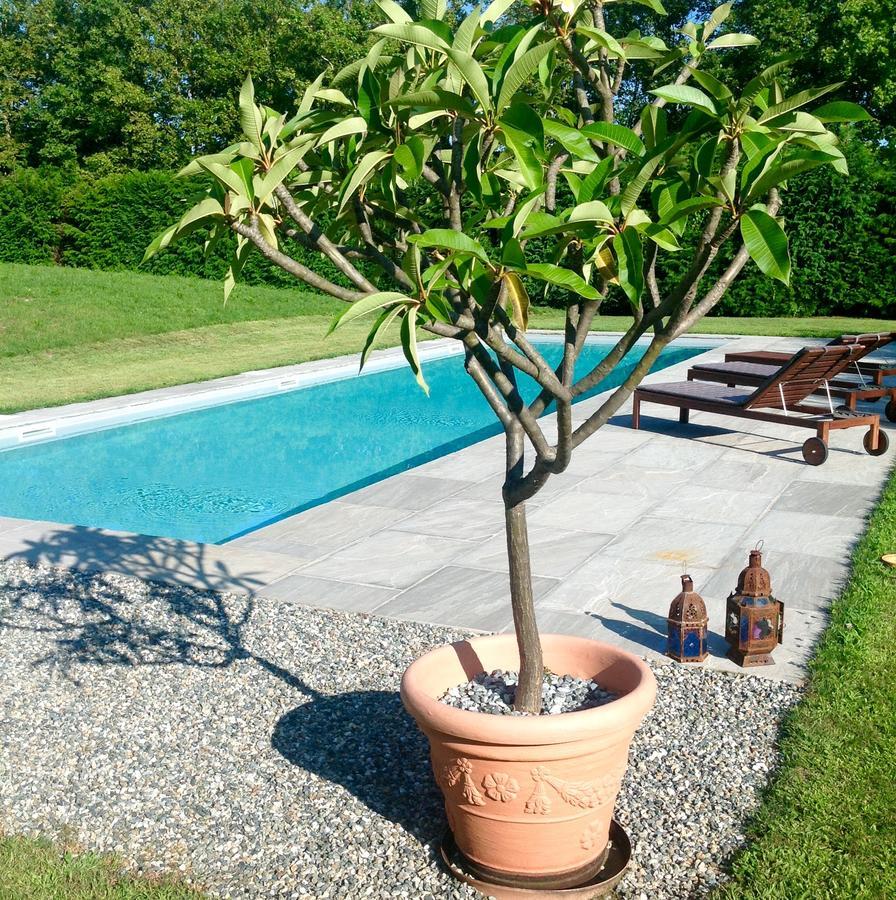 Alla Gazza Ladra Bed & Breakfast Prato Sesia Phòng bức ảnh